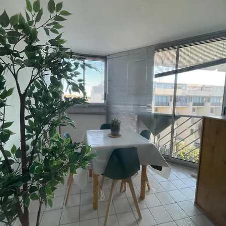Climatise 4 Couchages, Ascenseur, Piscine, Parking ,proche *